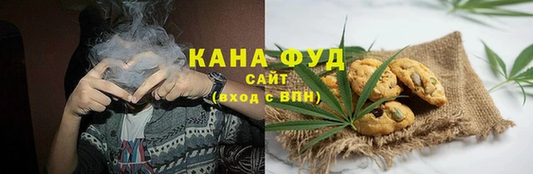 винт Ельня