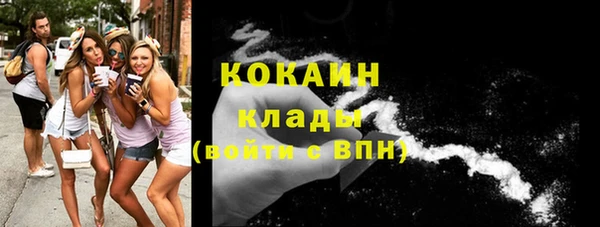 спиды Елизово
