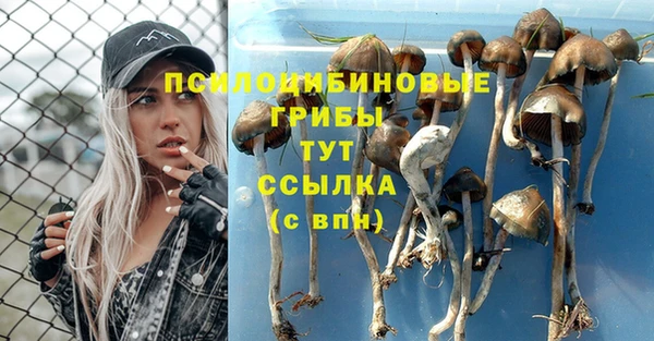спиды Елизово