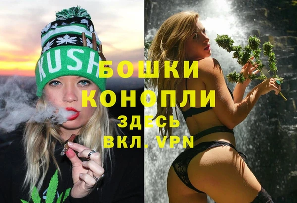спиды Елизово