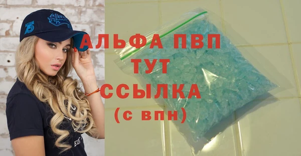 винт Ельня
