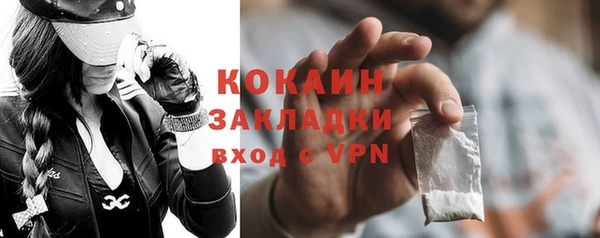 винт Ельня