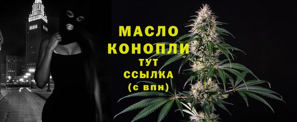 винт Ельня