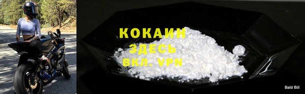 спиды Елизово