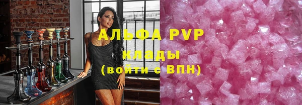 винт Ельня