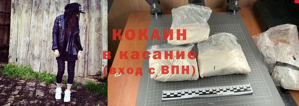 винт Ельня