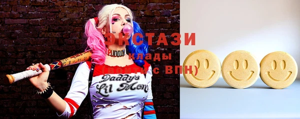 винт Ельня